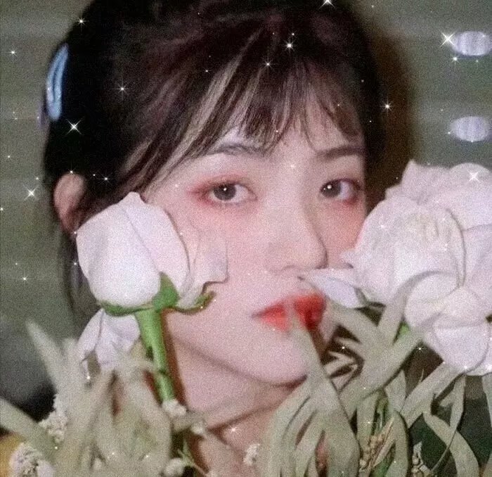 雄狮